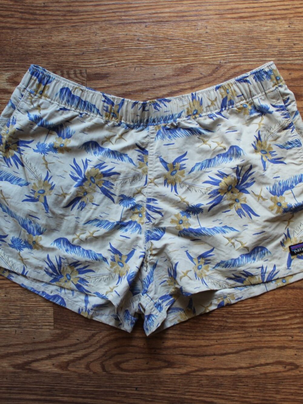 Patagonia Women's Shorts